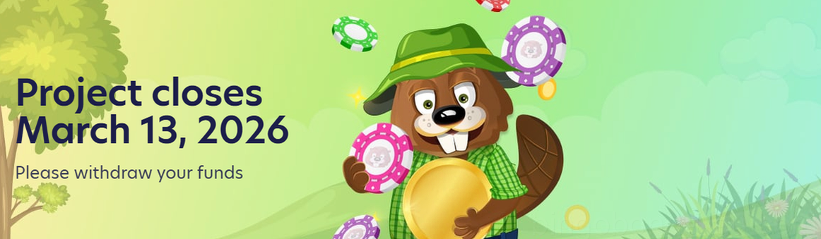 BingoBonga Casino Gaming